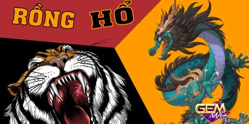 rồng hổ gemwin